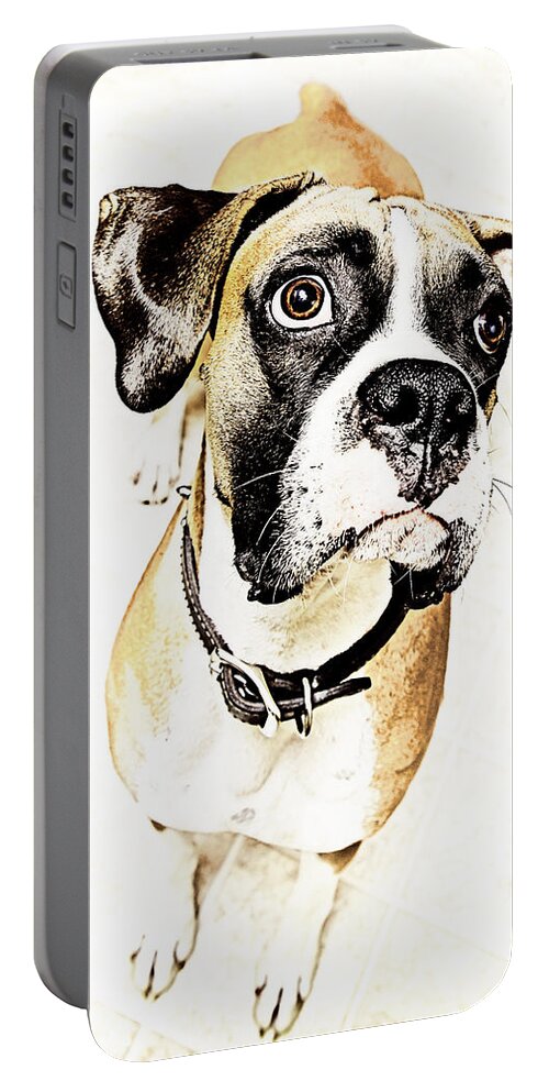 Animal Portable Battery Charger featuring the photograph Boxer dog poster by Peter V Quenter