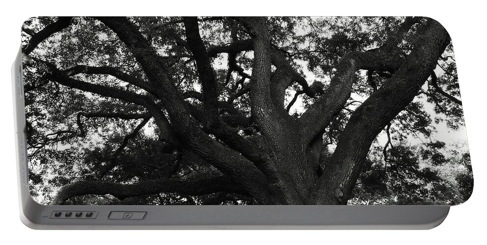 Season Portable Battery Charger featuring the photograph Branches of life by Andrea Anderegg