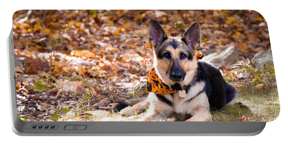 German Shepherd Portable Battery Charger featuring the photograph Bright Eyes by Eleanor Abramson