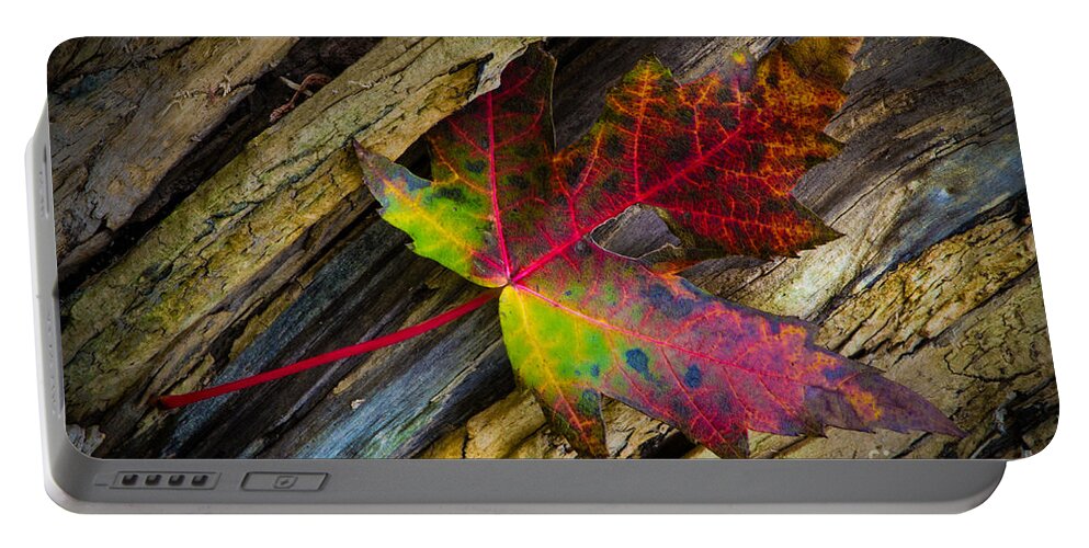 Defiance Portable Battery Charger featuring the photograph Bright Leaf by Michael Arend
