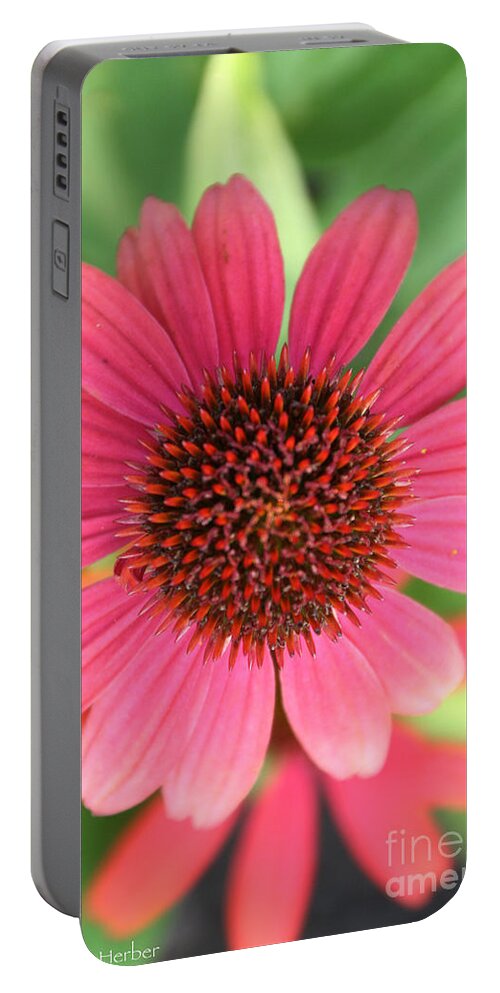 Flower Portable Battery Charger featuring the photograph Bright On by Susan Herber