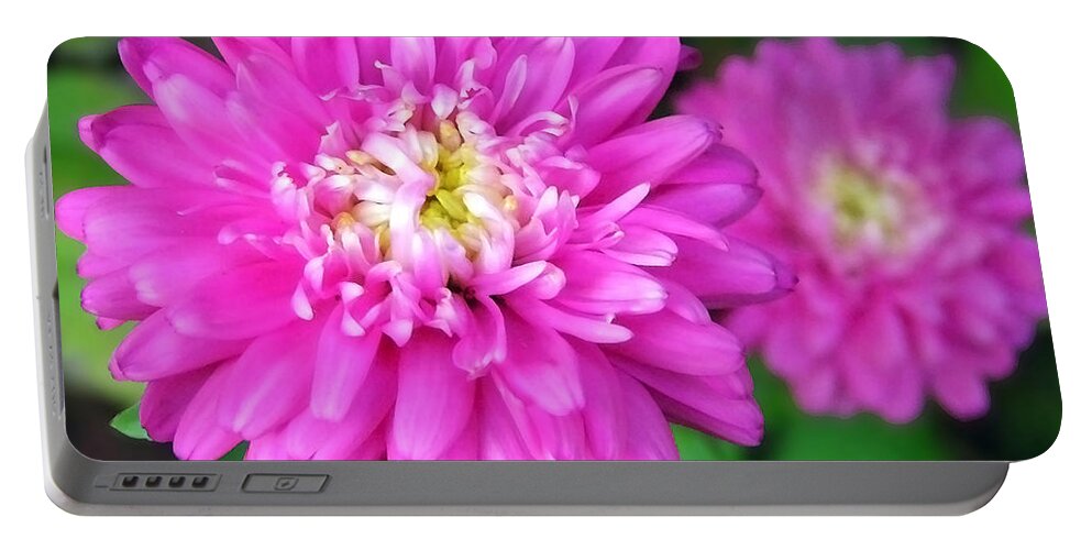 Pink Flowers Portable Battery Charger featuring the photograph Pink Zinnia Flowers by Christina Rollo