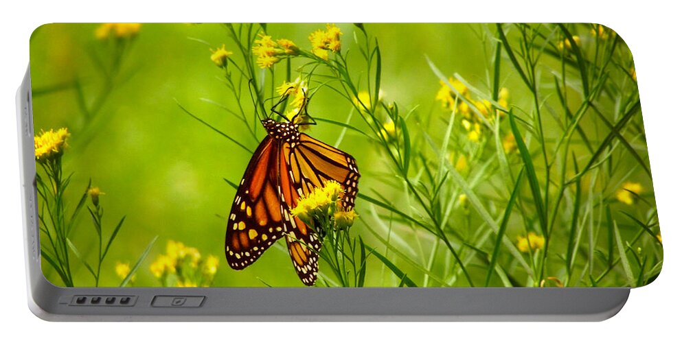 Orange Monarch Butterfly Portable Battery Charger featuring the photograph Brightly Colored Monarch Butterfly In A Meadow Of Yellow Flowers by Jerry Cowart
