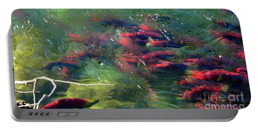 Salmon Portable Battery Charger featuring the photograph British Columbia Salmon Run by Kathy Bassett