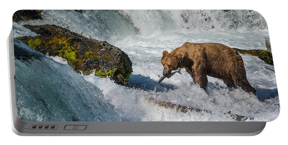 Alaska Portable Battery Charger featuring the photograph Brooks Falls Grizzly by Joan Wallner