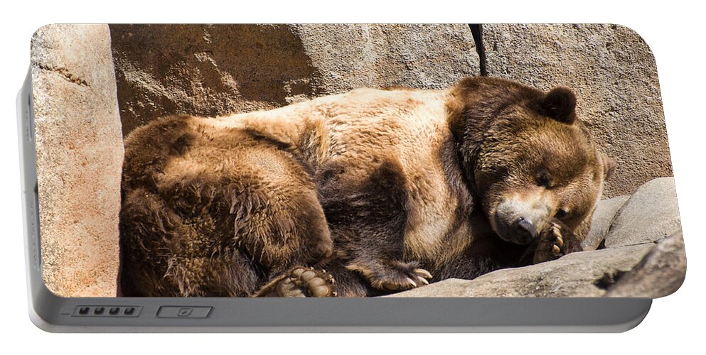 Brown Bear Portable Battery Charger featuring the photograph Brown bear asleep again by Flees Photos