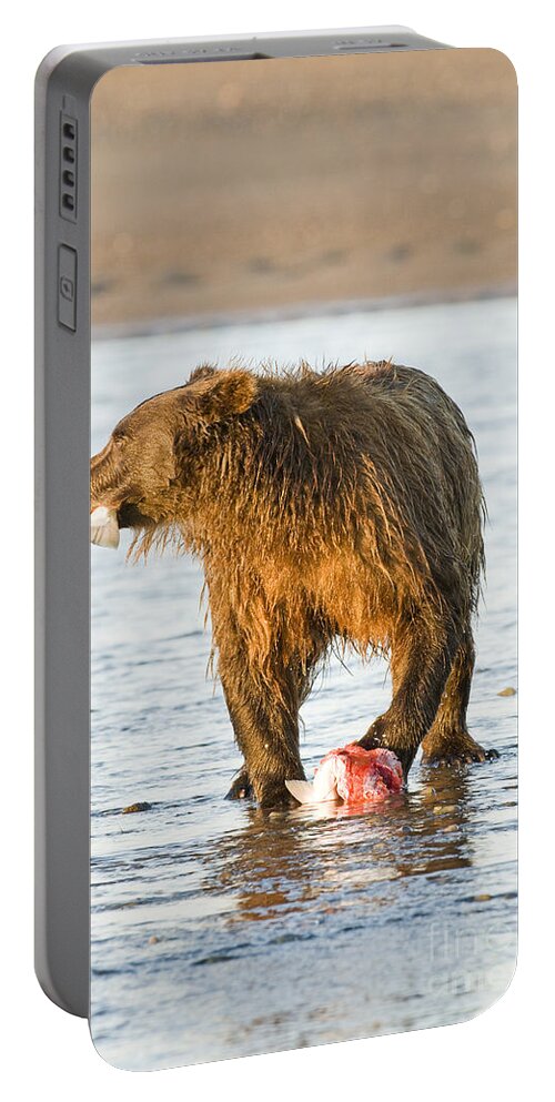 Nature Portable Battery Charger featuring the photograph Brown Bear Eating Silver Salmon by William H. Mullins