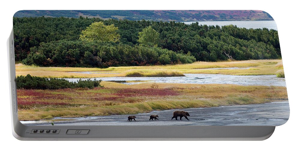 Animal In Landscape Portable Battery Charger featuring the photograph Brown Bear Mother With Two Cubs by Sergey Gorshkov