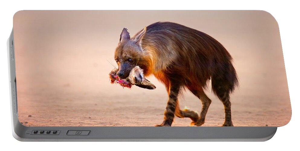 Hyena Portable Battery Charger featuring the photograph Brown hyena with bat-eared fox in jaws by Johan Swanepoel