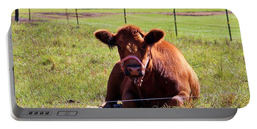 Cow Portable Battery Charger featuring the photograph Brown Moo Moo by Cynthia Guinn