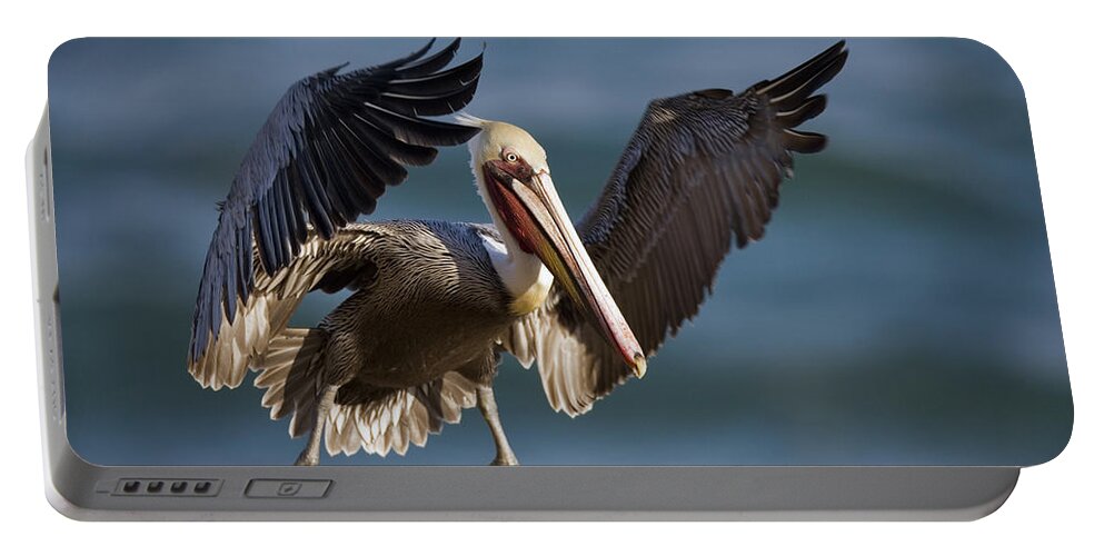 Feb0514 Portable Battery Charger featuring the photograph Brown Pelican Flying California by Tom Vezo