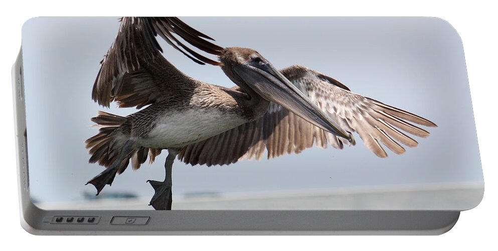 Flying Pelican Portable Battery Charger featuring the photograph Brown Pelican Landing by Carol Groenen