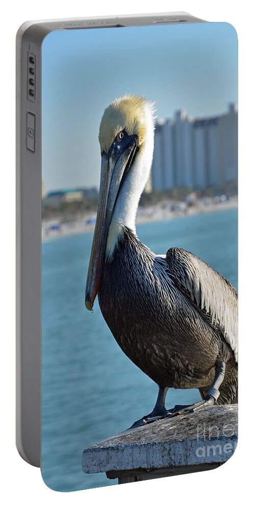 Pelican Portable Battery Charger featuring the photograph Brown Pelican by Robert Meanor