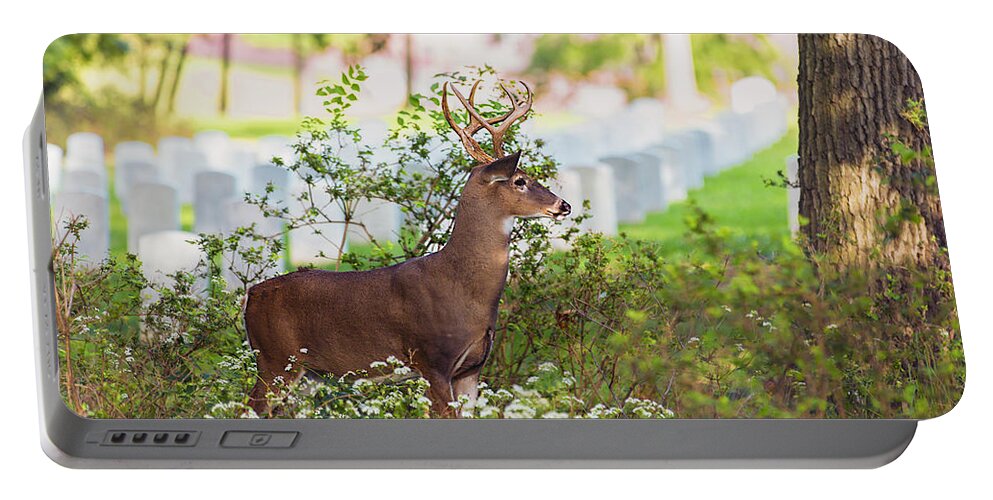 Deer Portable Battery Charger featuring the photograph Buck In A Bush by Bill and Linda Tiepelman