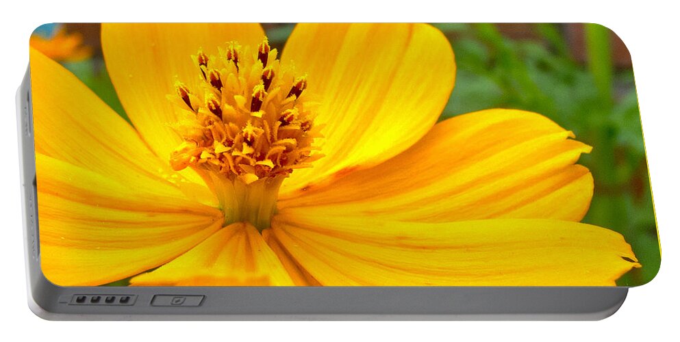 Yellow Flower Portable Battery Charger featuring the photograph Budding Bouquet by Kelly Holm