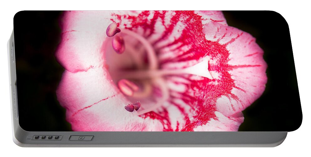Botanical Portable Battery Charger featuring the photograph Budding Flower by John Wadleigh