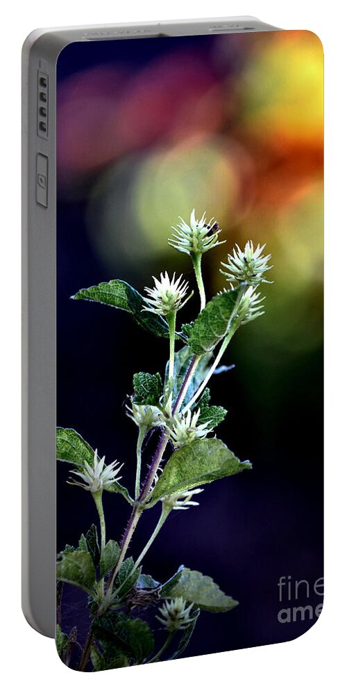 Lantana Buds Portable Battery Charger featuring the photograph Budding Future by Deb Halloran