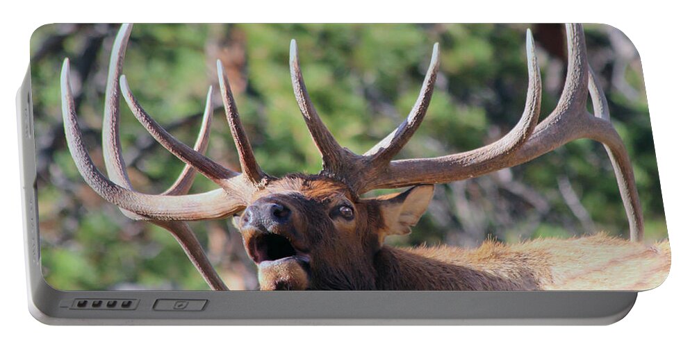 Elk Portable Battery Charger featuring the photograph Bugling Bull by Shane Bechler