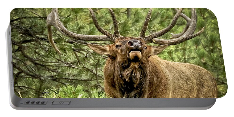 Bull Elk Portable Battery Charger featuring the photograph Bugling Bull Elk II by Ron White