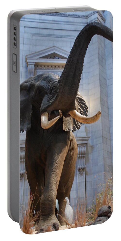 Bull Elephant Portable Battery Charger featuring the photograph Bull Elephant in Natural History Rotunda by Kenny Glover
