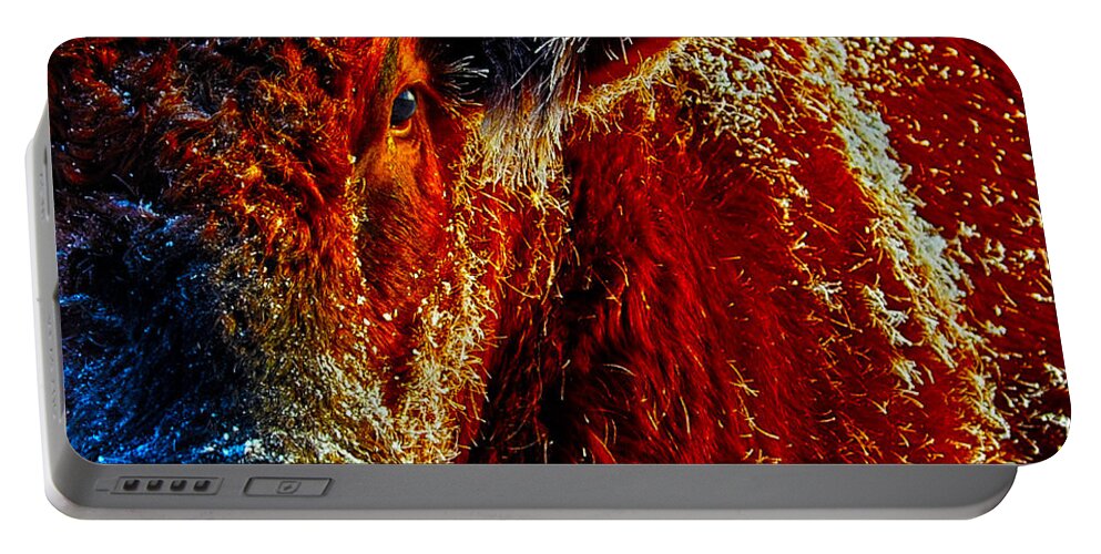 Hdr Portable Battery Charger featuring the photograph Bull on Ice by Amanda Smith