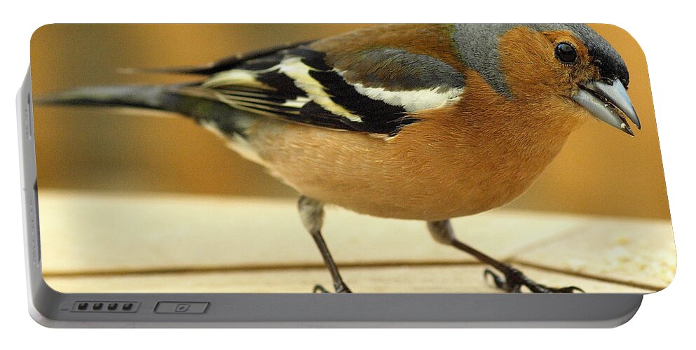 Birds Portable Battery Charger featuring the photograph Chaffinch by Richard Denyer