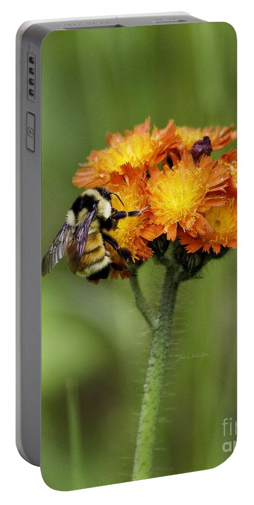 Bumblebee Portable Battery Charger featuring the photograph Bumble and Hawk by Jan Killian