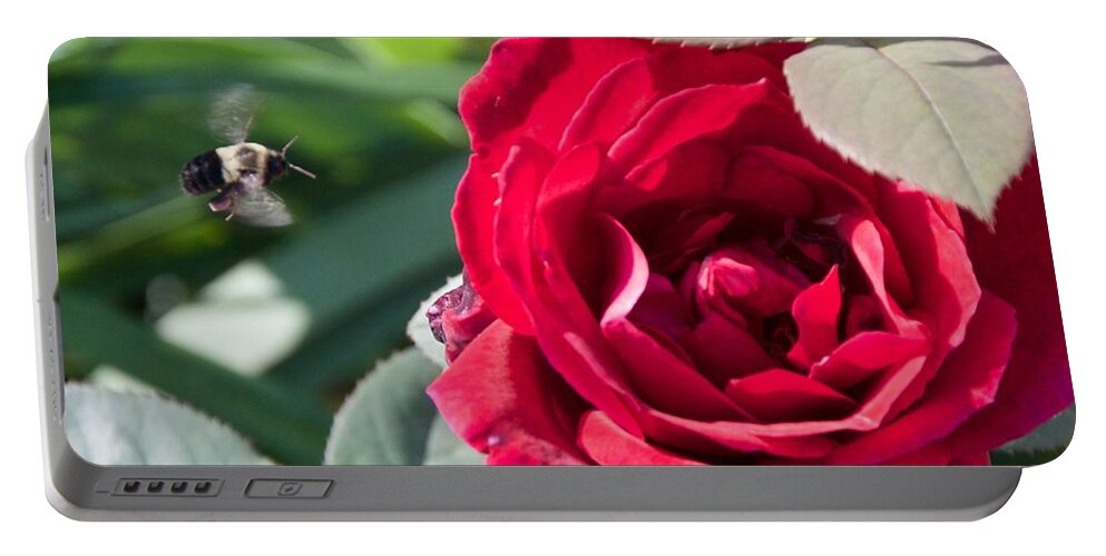 Bumble Bee Portable Battery Charger featuring the photograph Bumble Bee Heading to the Rose by Kristin Hatt