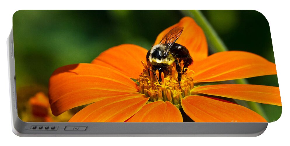 Nectar Portable Battery Charger featuring the photograph Bumblebee Hard At Work by Ms Judi