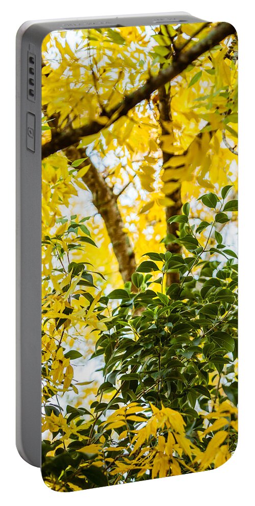 2014 Portable Battery Charger featuring the photograph Bunch of Green by Melinda Ledsome