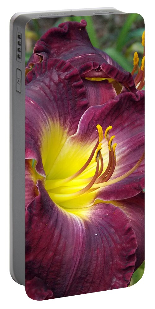 Amarillo Portable Battery Charger featuring the photograph Burgundy Amarillo by Sheri McLeroy
