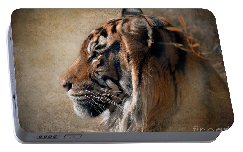 Tiger Portable Battery Charger featuring the photograph Burning Bright by Betty LaRue