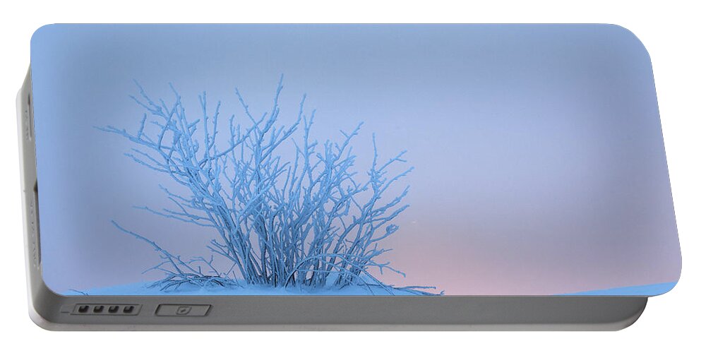 Heike Odermatt Portable Battery Charger featuring the photograph Bush In Snow In Morning Vosges France by Heike Odermatt