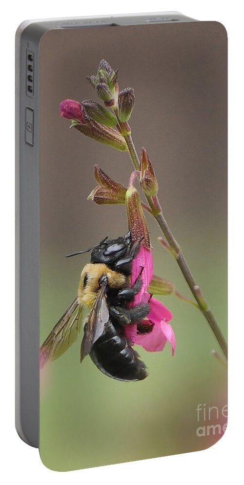 Bee Portable Battery Charger featuring the photograph Busy As A Bee by Kathy Baccari