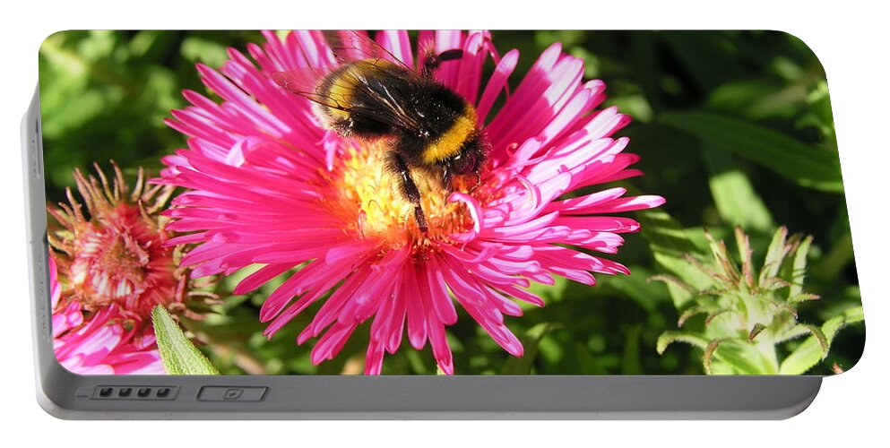 Bee On Flower Portable Battery Charger featuring the photograph Busy Bee by Bev Conover