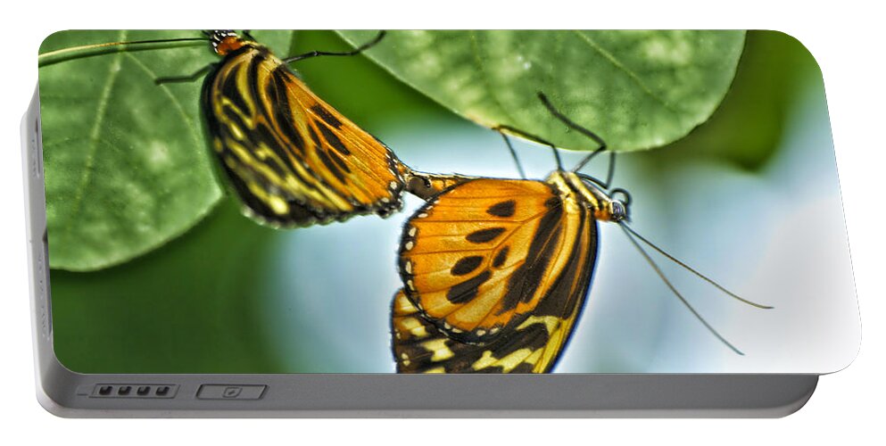 Il Portable Battery Charger featuring the photograph Butterflies Mating by Thomas Woolworth