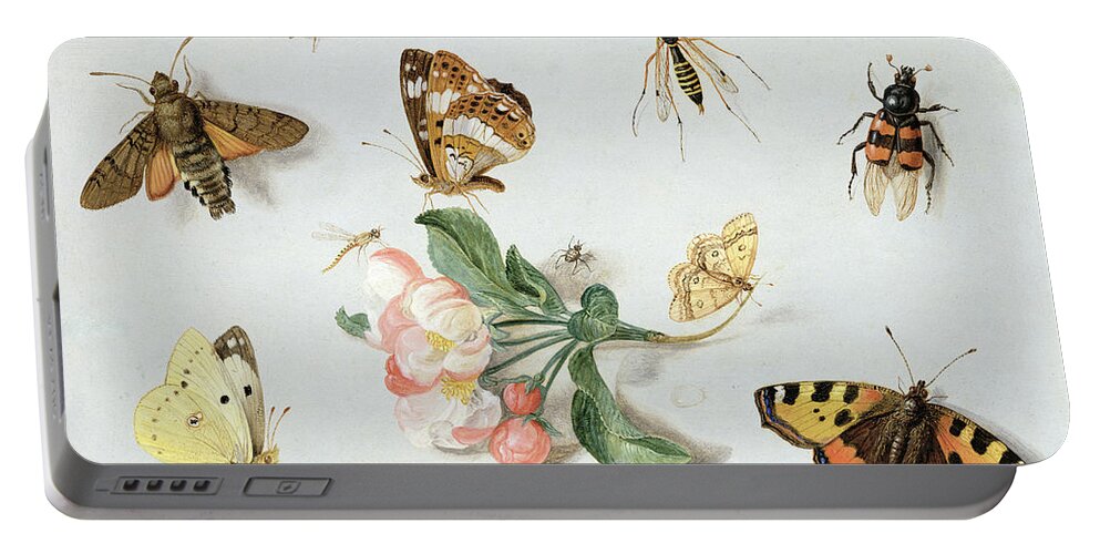 Butterfly Portable Battery Charger featuring the painting Butterflies moths and other insects with a sprig of apple blossom by Jan Van Kessel