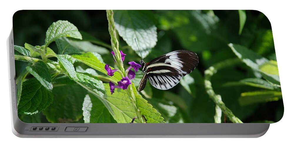 Lepidopterology Portable Battery Charger featuring the photograph Butterfly 2 by Rob Hans