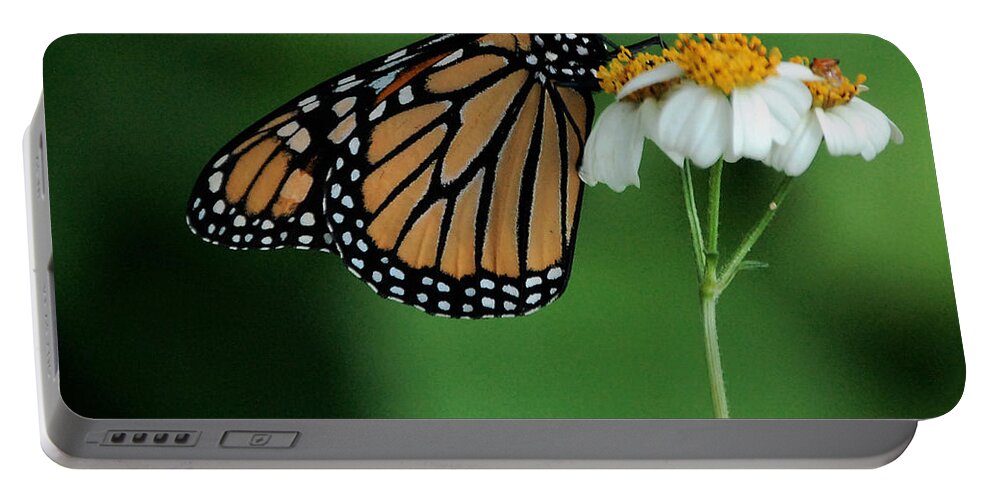 Flower Portable Battery Charger featuring the photograph Butterfly 3 by Leticia Latocki