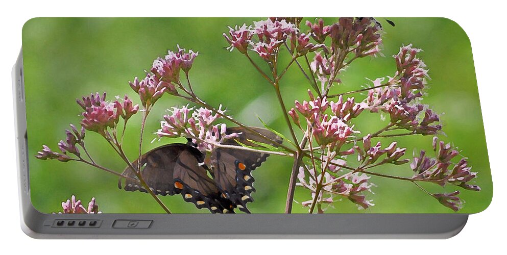 Butterfly Portable Battery Charger featuring the photograph Butterfly Duet by Kerri Farley