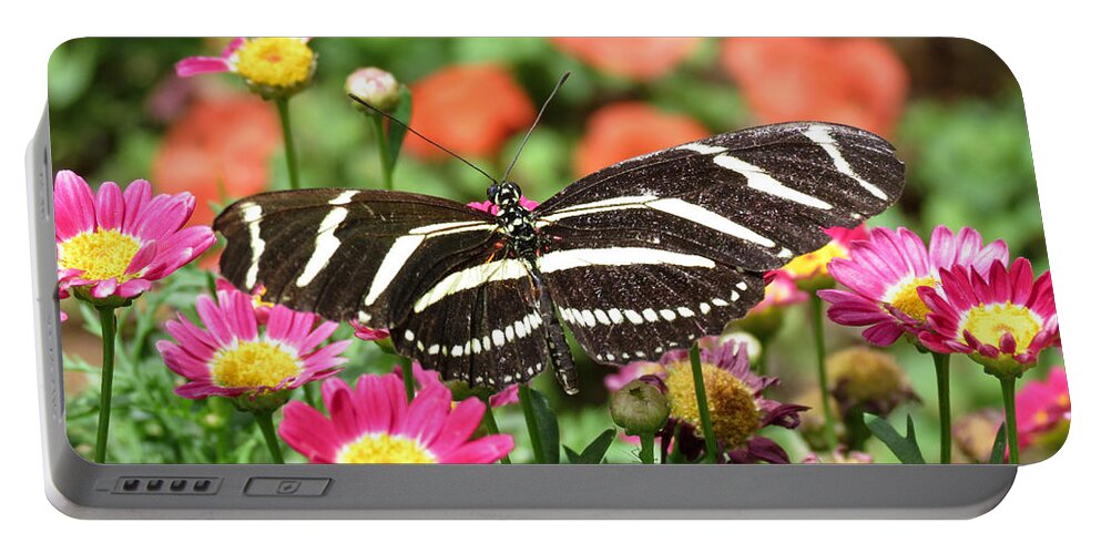Butterfly Portable Battery Charger featuring the photograph Butterfly Garden by Laurel Powell