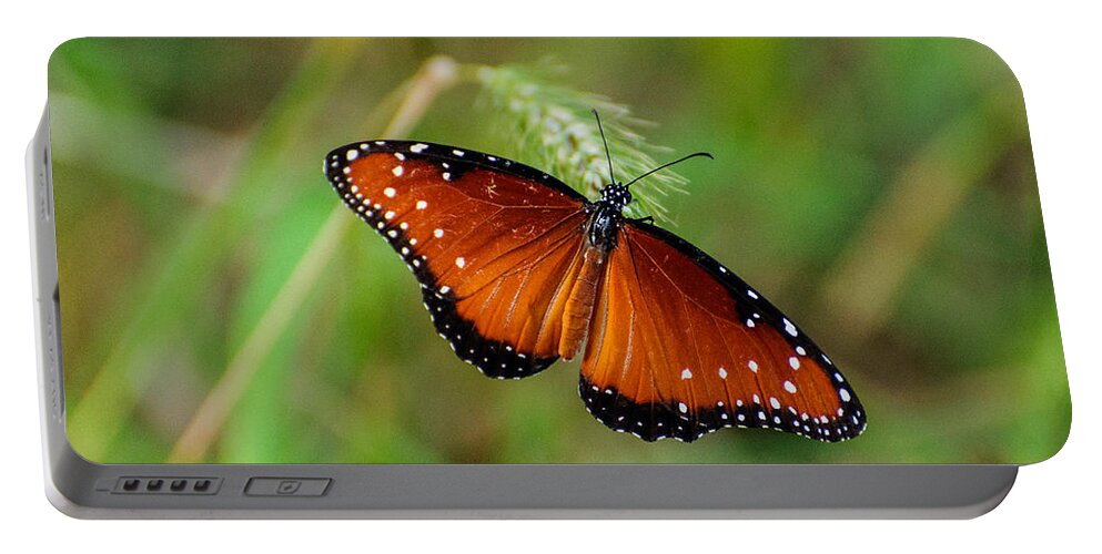 Butterfly Portable Battery Charger featuring the photograph Butterfly by John Johnson