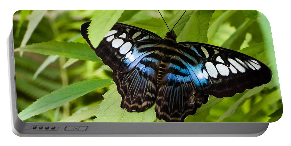 Blue Portable Battery Charger featuring the photograph Butterfly on Leaf  by Lars Lentz