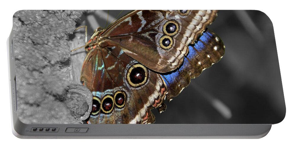 Macro Portable Battery Charger featuring the photograph Butterfly Spot Color 1 by Bob Slitzan