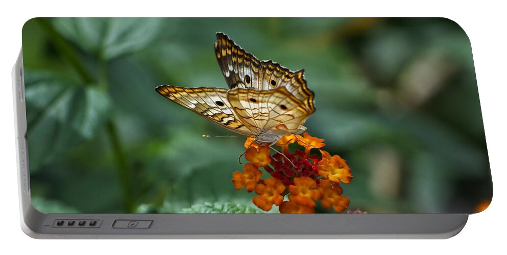 Butterfly Portable Battery Charger featuring the photograph Butterfly Wings Of Sun Light by Thomas Woolworth