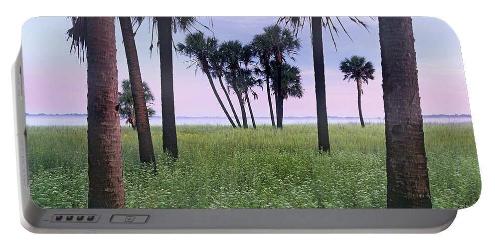 Feb0514 Portable Battery Charger featuring the photograph Cabbage Palm Meadow Florida by Tim Fitzharris
