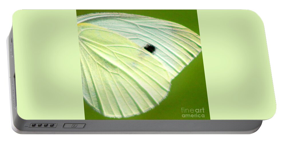 Butterfly Portable Battery Charger featuring the photograph Cabbage White Butterfly Wing Square by Karen Adams