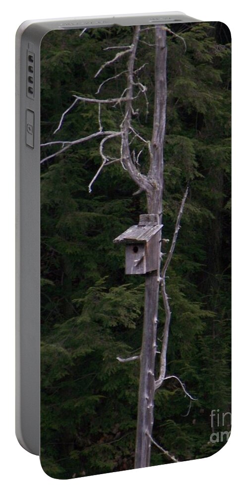 Birdhouse Portable Battery Charger featuring the photograph Cabin On Mud Lake by Jackie Mueller-Jones