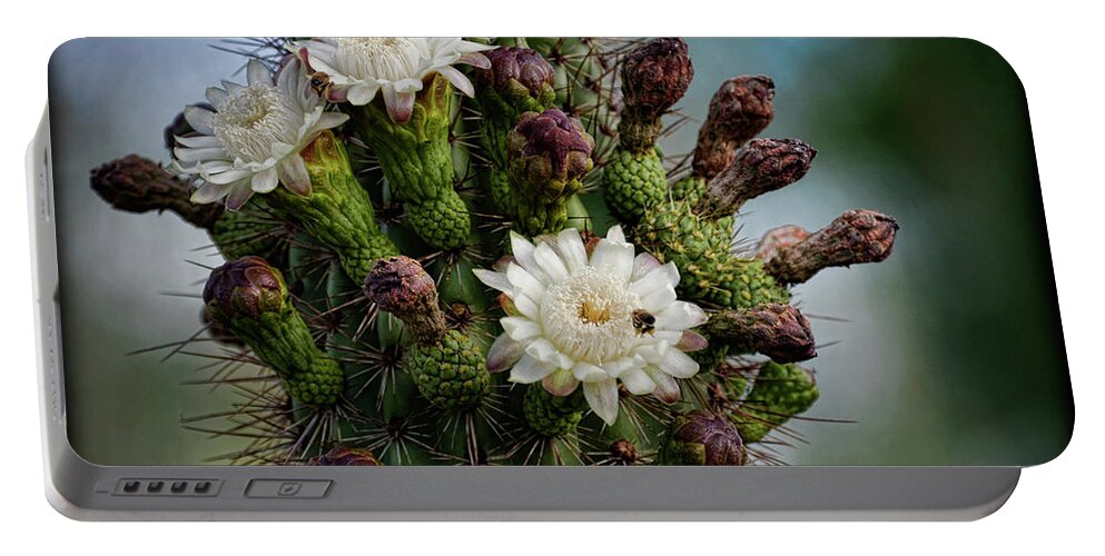 Organ Pipe Cactus Flowers Portable Battery Charger featuring the photograph Cacti Bouquet by Saija Lehtonen