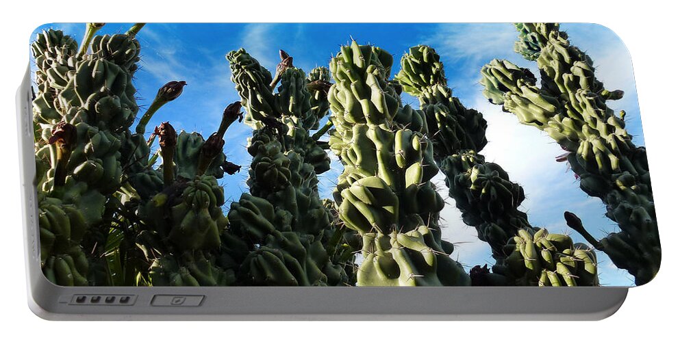 Cactus Portable Battery Charger featuring the photograph Cactus 1 by Mariusz Kula